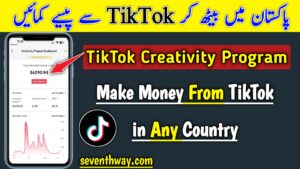 TikTok Creativity Program