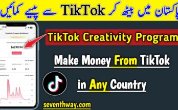 TikTok Creativity Program